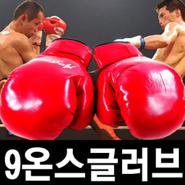 [오늘출발] 성인용 9온스 권투글러브 다이어트.체력강화.건강관리.복싱.이종격투기.태권도.샌드백.펀칭볼.펀치백미트
