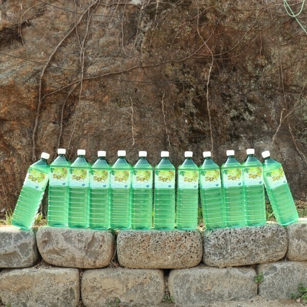 [오늘출발] 정치헌님의 지리산 고로쇠수액1.5L 12개 2026년산 채취