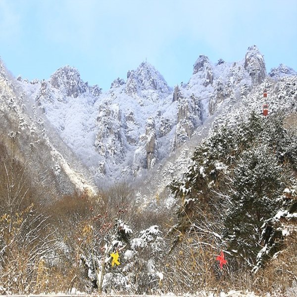 대둔산 케이블카 장태산 휴양림 익산 고스락 항아리 공원 코레일 투어 기차 열차 여행 국내