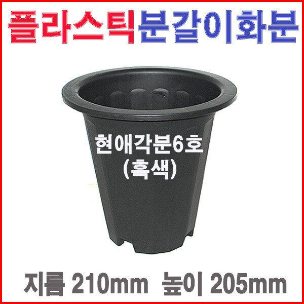 [오늘출발] 현애각분6호(흑색)/대형/도로/블루베리/플라스틱화분