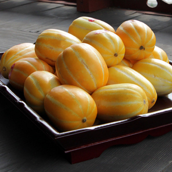 성주 꿀 참외 10kg(혼합/실속형/박스포함/못난이/흠과/실금/열과/갈라짐)반품불가