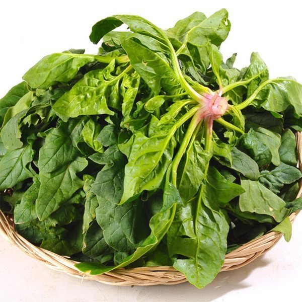 해풍맞고자란 비금섬초/시금치 (2kg)