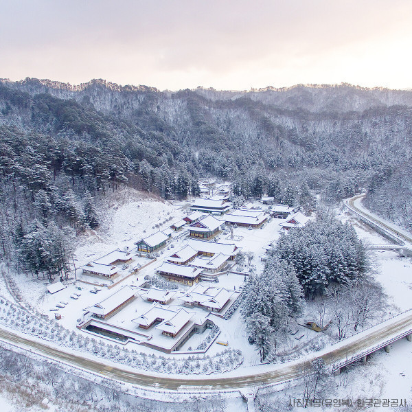 |강원| 12월 27일/출발유력/평창/월정사/강릉/경포대/안목항/커피거리/겨울/눈꽃/당일여행