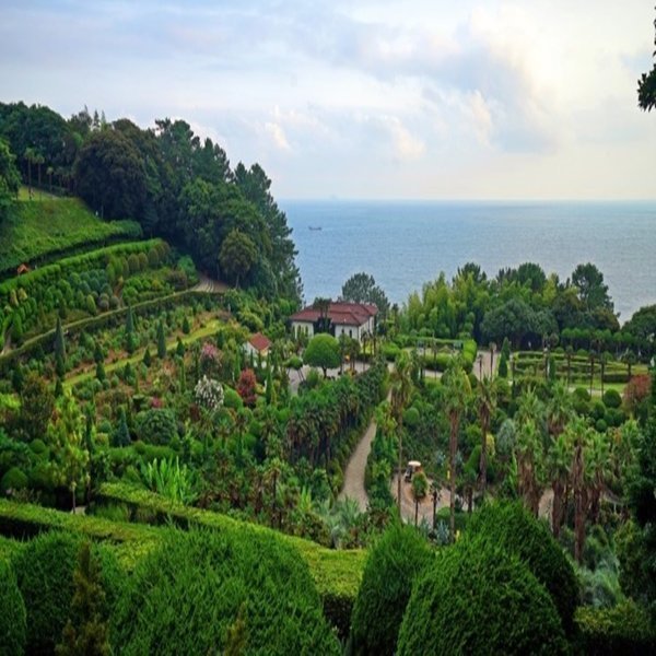 매일 출발 1박2일 한려수도 통영 케이블카 거제도 외도 장사도 or 소매물도 코레일 기차 여행 꽃 축제