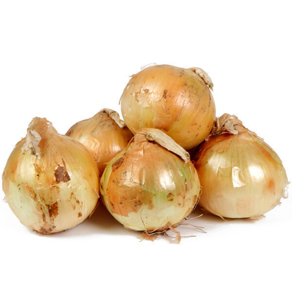 양파 25년수확 국내산 햇 양파 20kg(중사이즈)