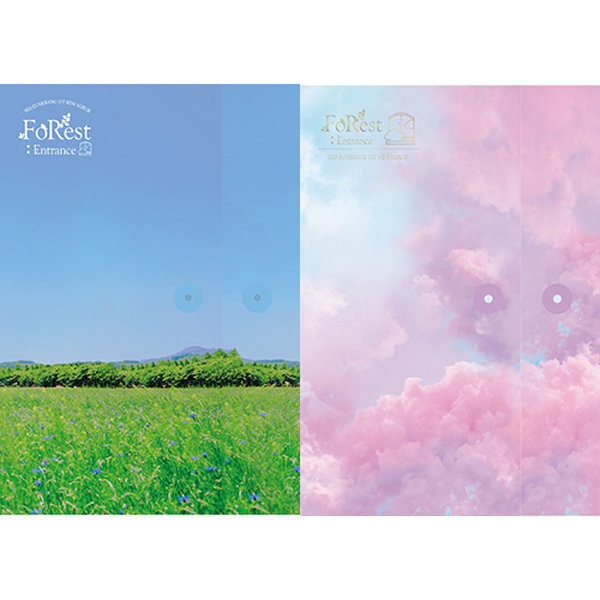 서은광 비투비 (SEO EUN KWANG BTOB) / FoRest : Entrance (미니앨범 1집) 버전랜덤