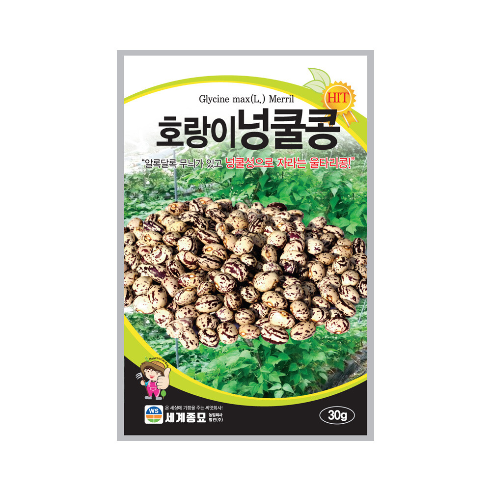[오늘출발] 무배+콩 세계종묘 호랑이넝쿨콩 씨앗 30g