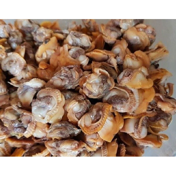 [오늘출발] 벌교 새꼬막살1kg 손질 자숙 꼬막살 비빔밥 무침용  최상품 BQF포장