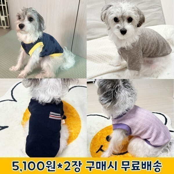 강아지옷 애견옷 반려견옷 의류 사계절 데일리 기모 래글런 민소매 티셔츠 국내제작 2장구매시 무료배송