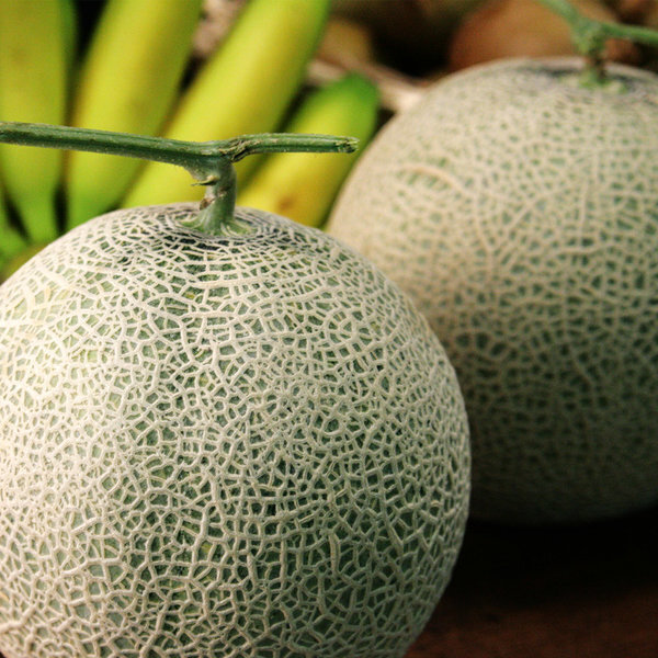 머스크메론 고당도 메론 3kg내 2~4수 중소과