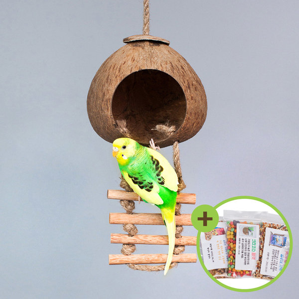 [오늘출발] 천연 코코넛 새둥지 중소형 앵무새 사다리 장난감