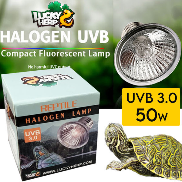 [오늘출발]럭키허프 UVB 3.0 거북이 할로겐 램프 50w /조명 전구