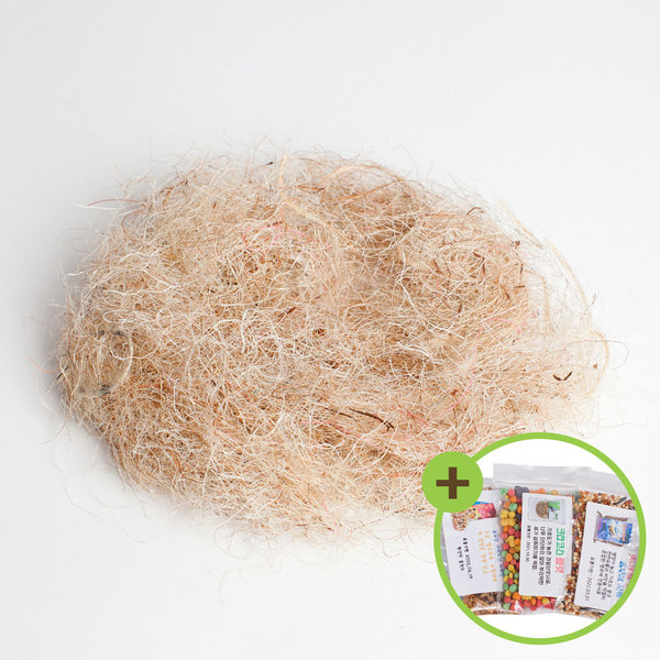 [오늘출발]퀴코 둥지풀 코코넛 야자풀 산란준비 알통 새둥지