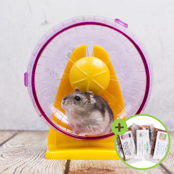 [오늘출발]햄스터 무소음 쳇바퀴 (중형) 분리가능 유리부착가능