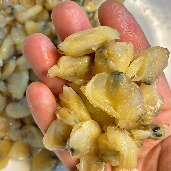 [오늘출발] 자숙바지락살 냉동바지락 400g 세척 깐바지락