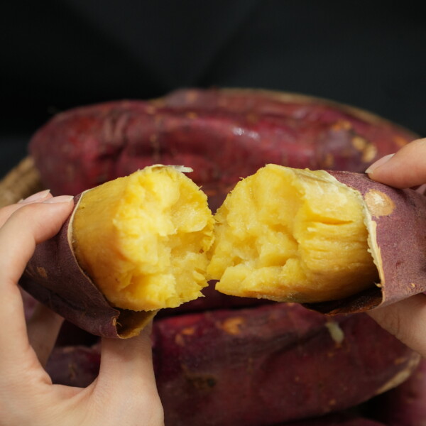 착한식탁 해남 꿀고구마 10kg 못난이