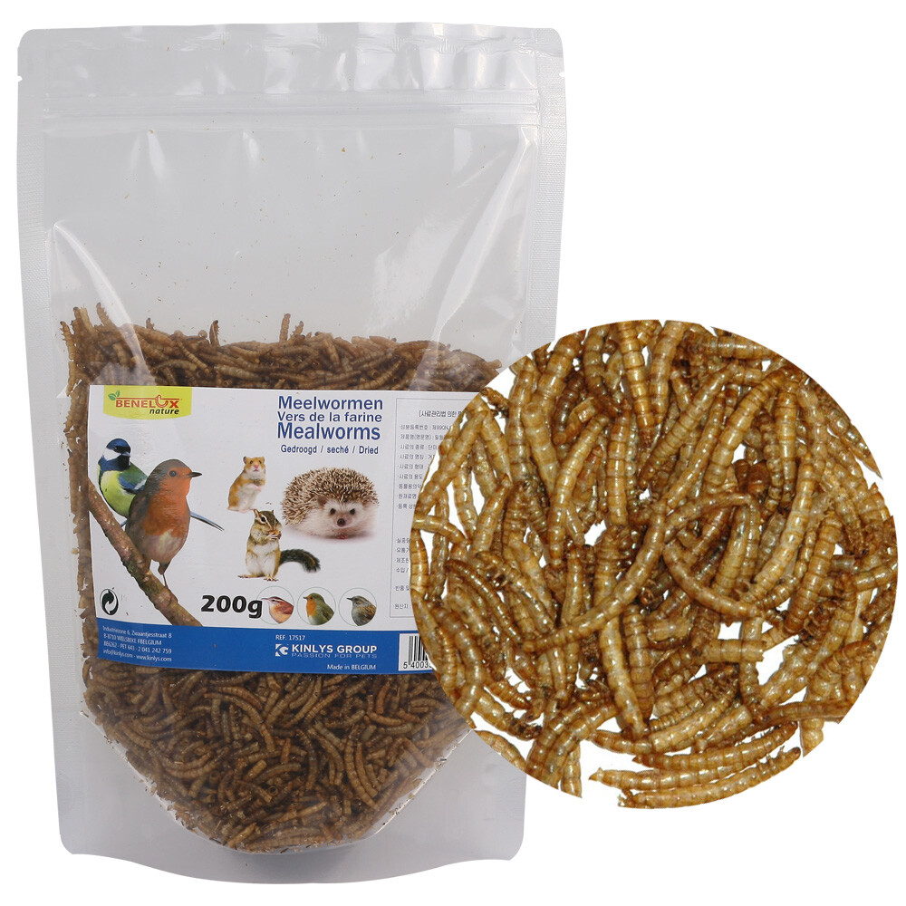 [오늘출발] BENELUX 열풍 건조 밀웜 200g (약4000마리) 소동물용