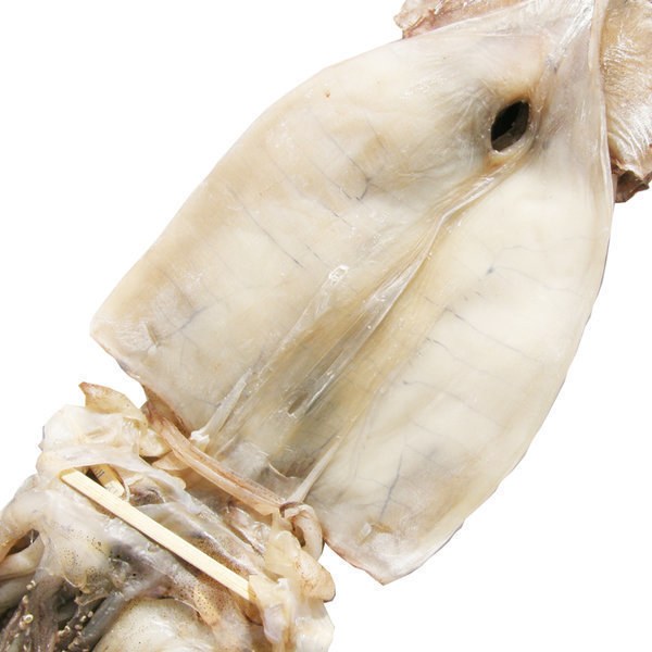 [장성물산][오늘출발] 건어물천국 반건조오징어 왕특대10미2.0~2.4kg  동해안 반건오징어