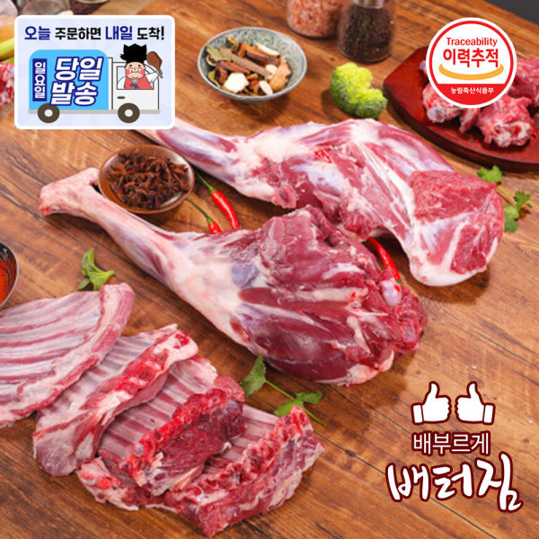 [신돈축산유통]배터짐 13개월양반마리8kg내외 양고기 양갈비 양꼬치 숄더랙 양모듬지육