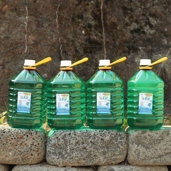 [오늘출발] 정치헌님의 지리산 고로쇠수액 4.5L 4개 2026년산 채취