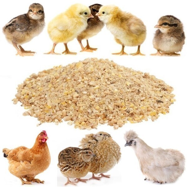 [오늘출발] 병아리 닭 사료 메추리 초이사료 오리 토종 모이 모래