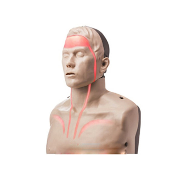 브레이든 심폐소생술마네킹 혈행형 CPR모형 애니  응급처치교육 IM13K