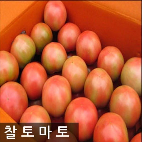 명품찰토마토 10kg(4번)중소과