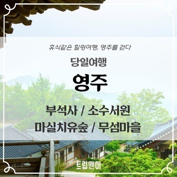 |당일||영주|휴식같은 힐링여행 영주를걷다/부석사+소수서원+마실치유숲+무섬마을