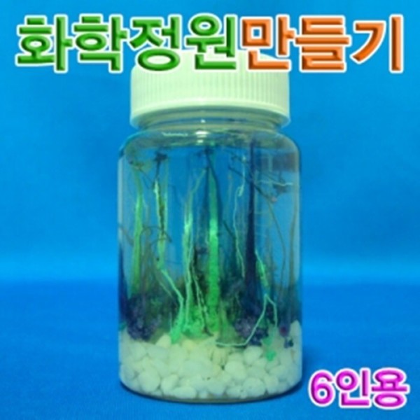 [오늘출발] 화학정원만들기(6인용)