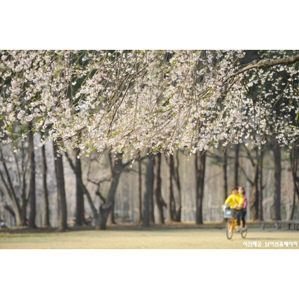 |당일||춘천가평|사계절 다채로운 빛깔의 풍경 여행 / 남이섬+구곡폭포+아침고요수목원