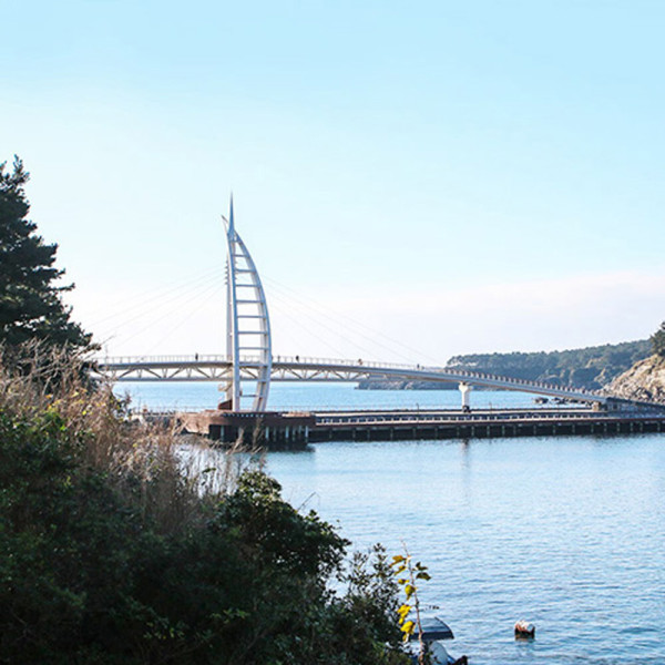 상상초월 실속여행 알뜰투어 제주여행 2일 (매일출발) - 제주허브닷컴 정기버스관광 패키지