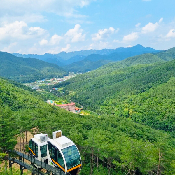 |충북| 보은/속리산/모노레일/법주사/당일여행/모노레일체험 포함/당일여행/연중상품