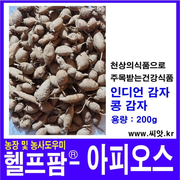 [오늘출발] 헬프팜 아피오스 200g 인디언감자 콩감자 감자