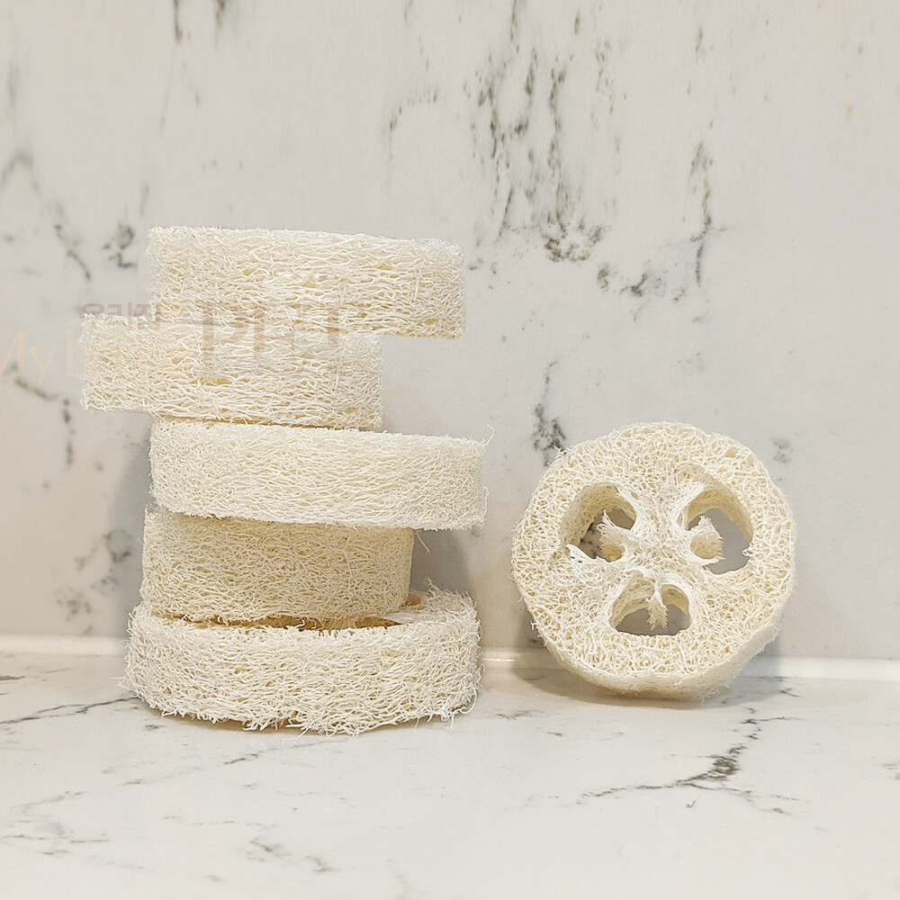 [오늘출발]애완용 수세미 6개 앵무새 핀치 잉꼬 소동물 이갈이