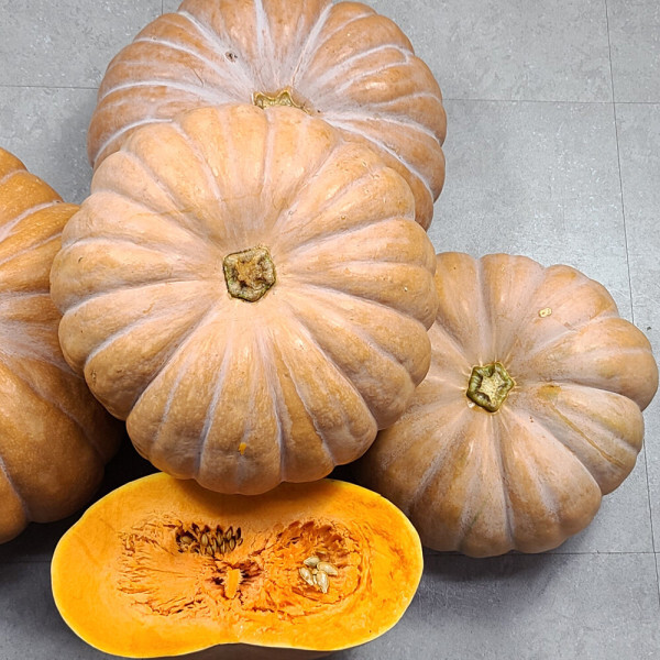 늙은호박  국내산 멧돌호박 7kg 내외