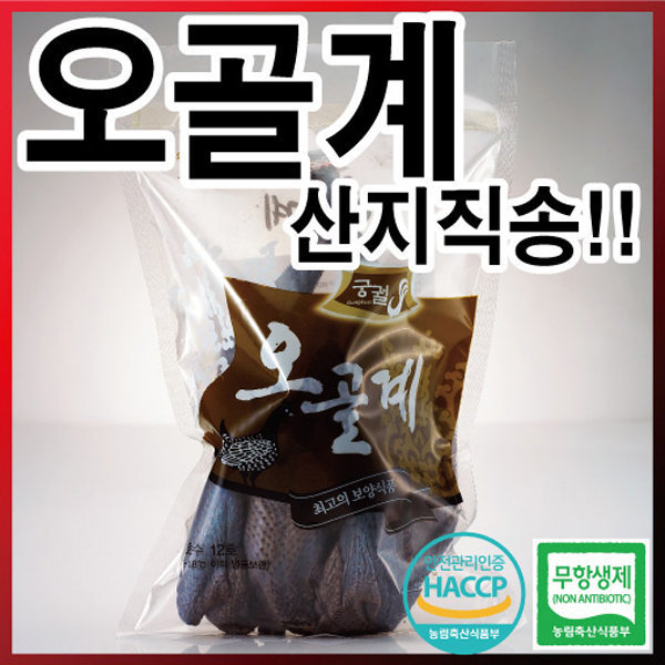 [오늘출발] 궁궐 오골계 16호 1550g 삼계탕 백숙 무항생제