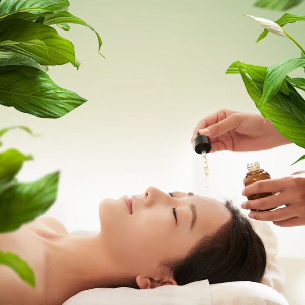 |제주| 더 숲 아로마 이용권/마사지/건식타이/아로마/전신마사지/스톤마사지