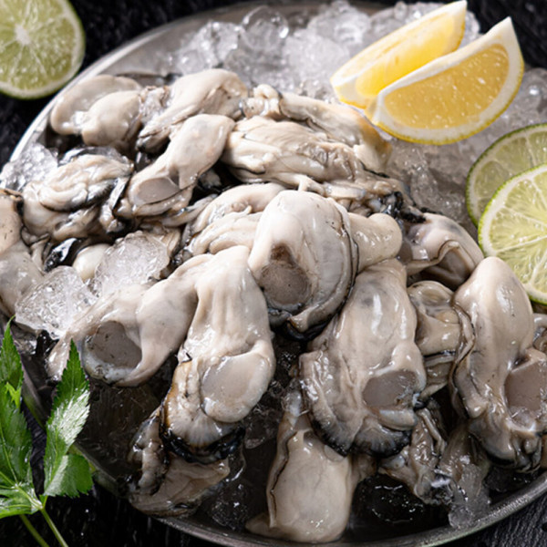 [니온인터내셔널]쵱선생 (신선집중) 통영 생굴 2kg 횟감용생굴 특제초회소스 증정 (1kgX2팩)