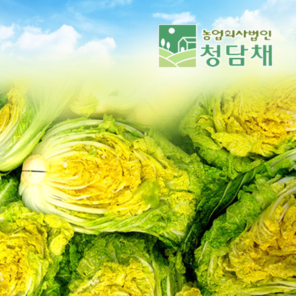 [그린농장]원해원 괴산절임배추20kg /90일배추/천일염절임/준고랭지배추