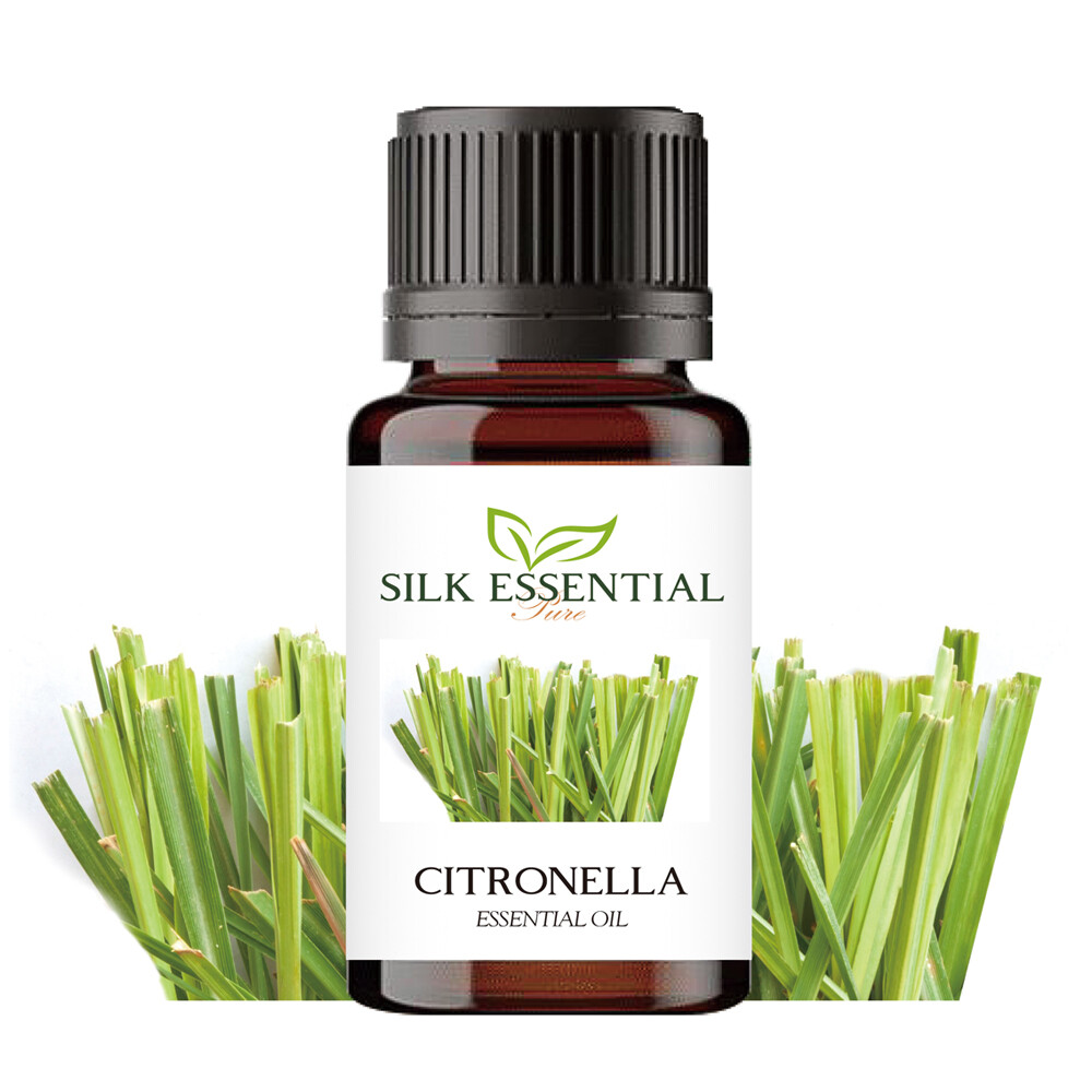 [오늘출발]천연 에센셜오일 시트로넬라10ml 아로마 실크 오일
