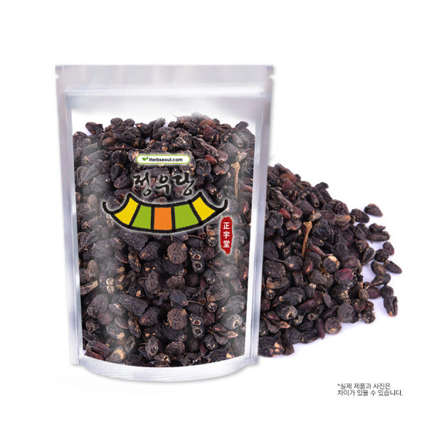 국산 가시오가피 열매 300g 오가피열매 (000107) 정우당