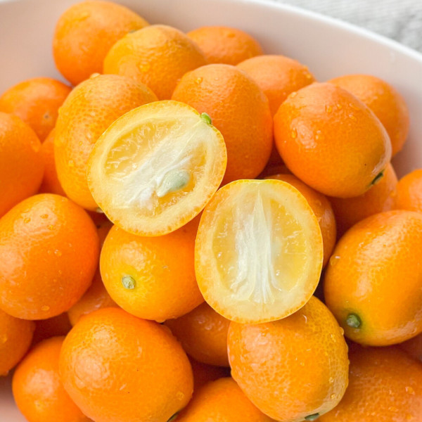 제주 서귀포 표선농협 금귤 낑깡 중소과 2.5kg