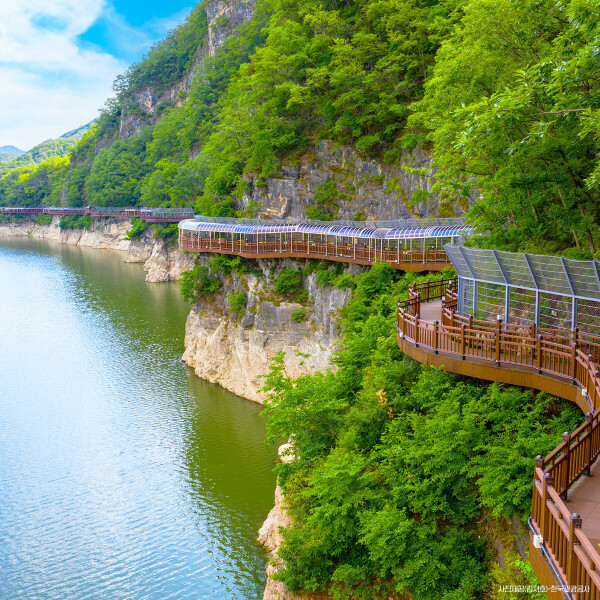|충북|  단양/구인사/만천하 스카이워크/잔도길/국내여행