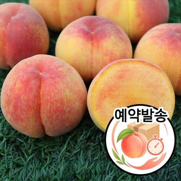 햇사레 장호원 이종태 명인 황도복숭아 3kg 특과