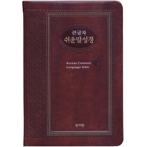 큰글자쉬운말성경책 특중 찬송가없음 브라운 쉬운성경