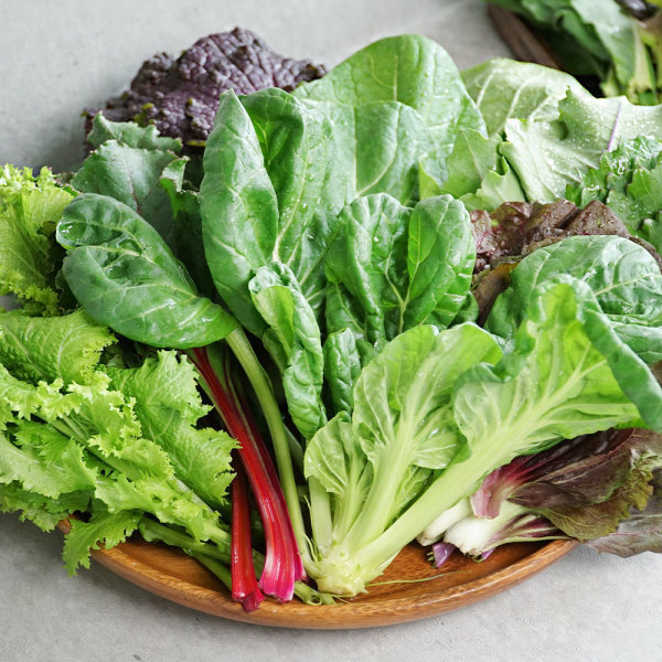 (신선집중) 국내산 쌈채소 모듬  4종 1kg /GAP인증