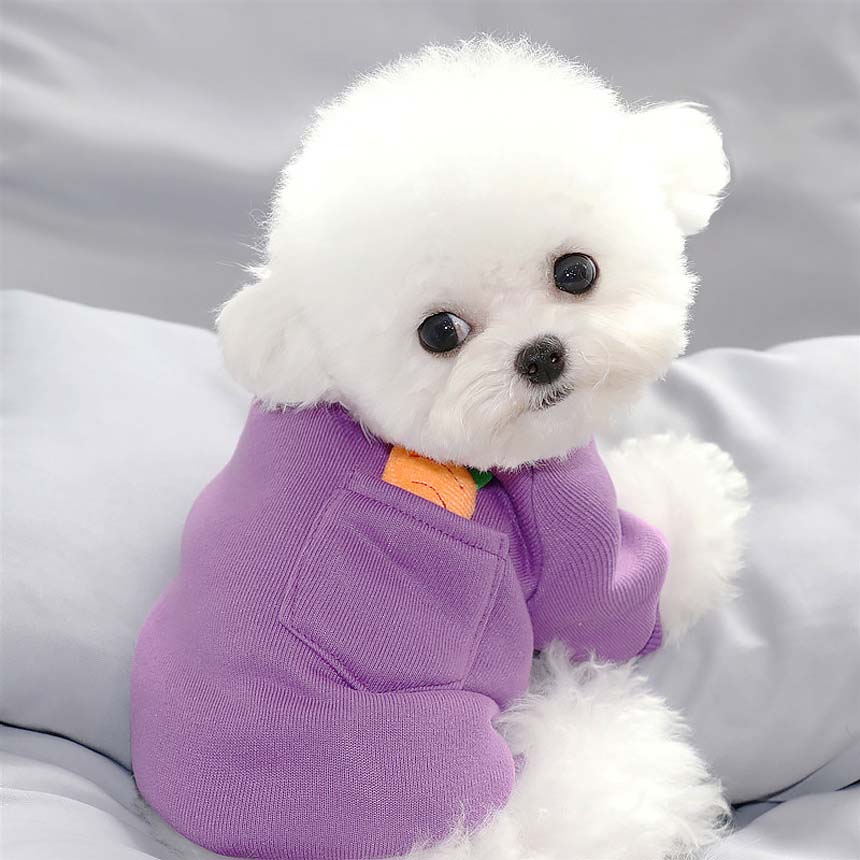 [오늘출발] 1+1 강아지옷 고양이옷 가을 겨울 포켓 캐롯 티셔츠 실내복 외출복 S-XL 무료배송