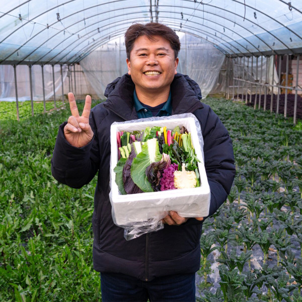 [오늘출발] 양주농부 모듬쌈채소 클로렐라 샐러드 구이용 20여가지 야채 쌈채소 600g-1.2kg