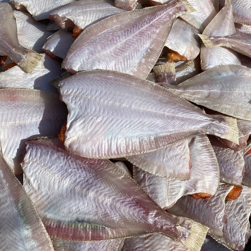 [오늘출발] 동해안 참가자미 1kg(10-12미) 무염 반건조 완전 손질 최고의 가자미