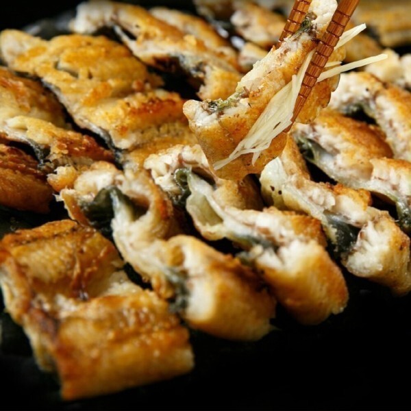 [오늘출발] 바다장어 1kg 국내산 자연산 대사이즈 1kg 2-3미 바다장어 당일손질 장어구이 붕장어 아나고 생물장어